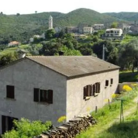 T2 Proche De Corte *