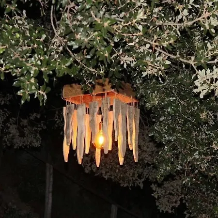 Apartment T2 Proche De Corte