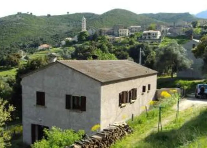 T2 Proche De Corte *