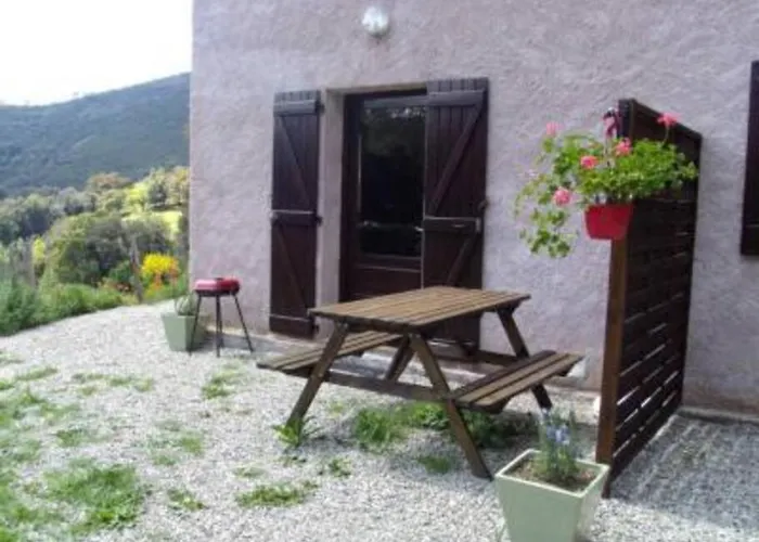 T2 Proche De Corte * Soveria